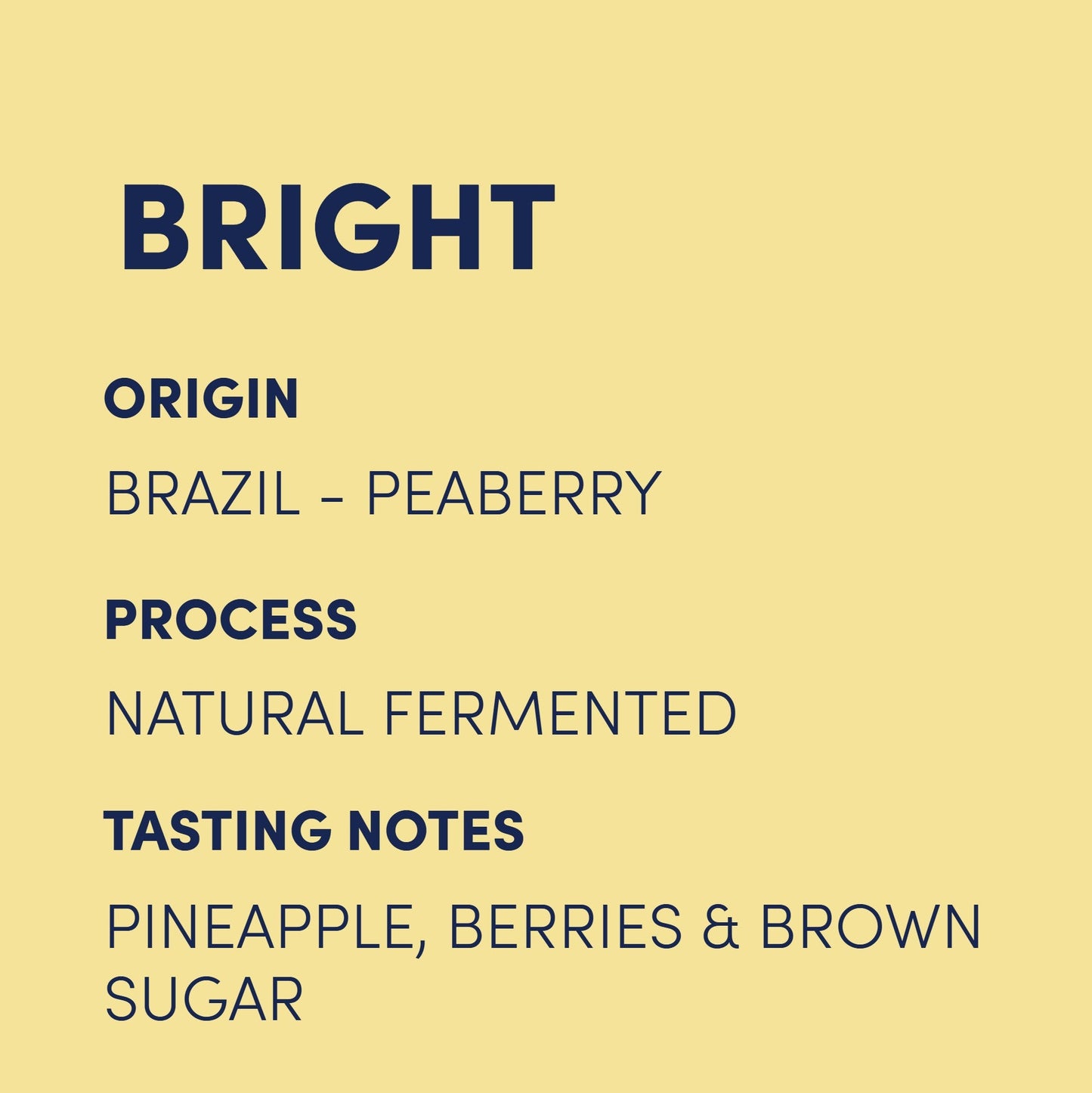 Fazenda Cachoeira Peaberry