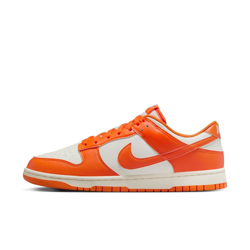 M Nike Dunk Low Retro HF5441-106