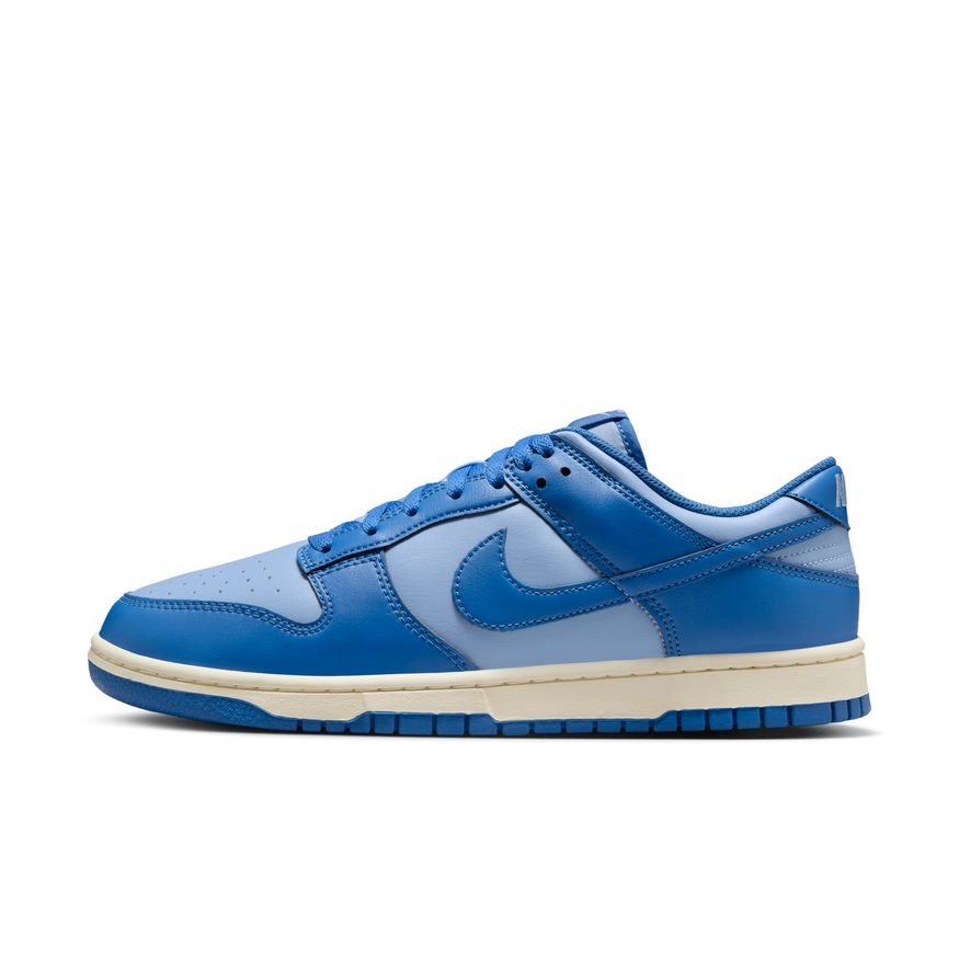 M Nike Dunk Low Retro HF5441-400