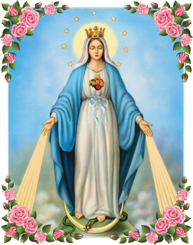 THE IMMACULATE HEART OF MARY // ROSE + HOLY BASIL