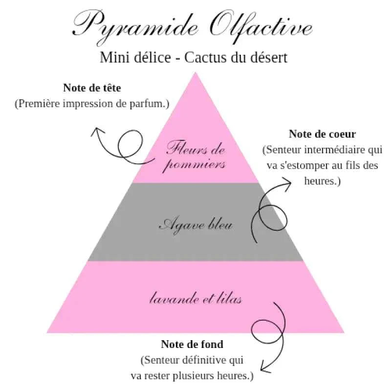 La bougie gourmande mini délice - Cactus du désert