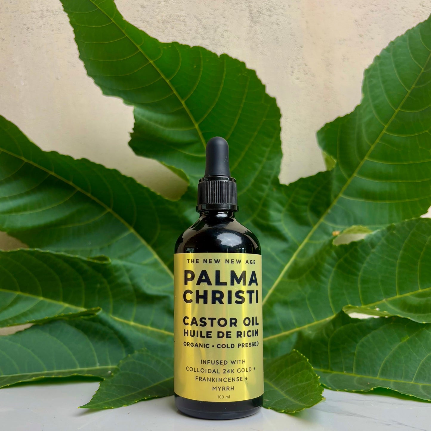 PALMA CHRISTI: CASTOR OIL