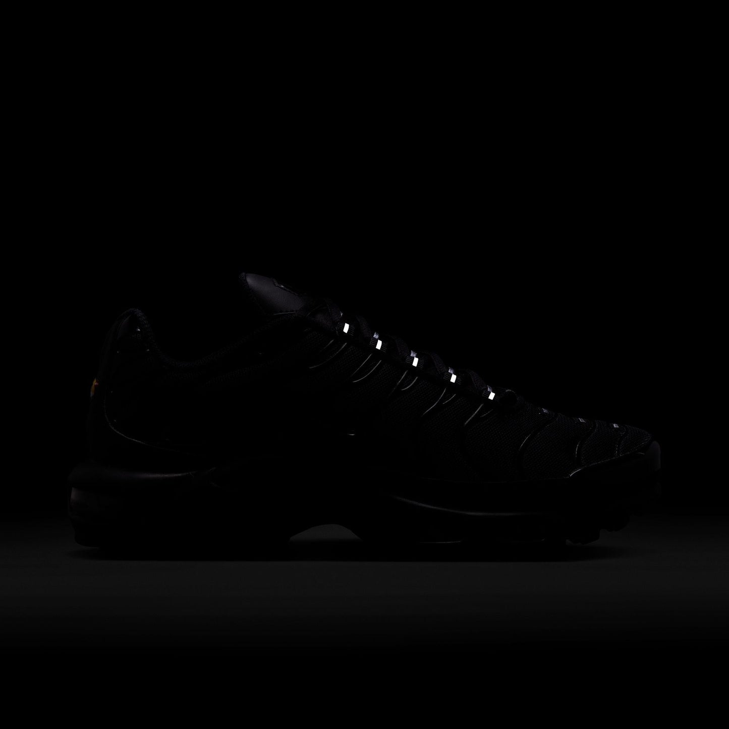 W Nike Air Max Plus DM2362-002