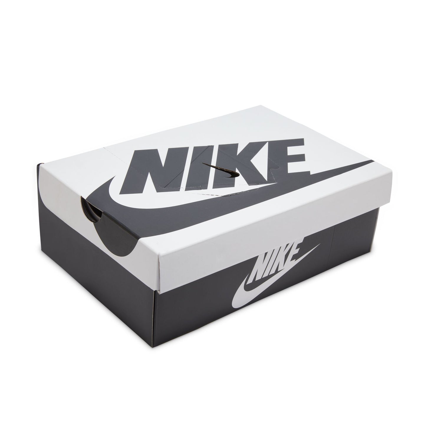 M Nike Dunk Low Retro SE HQ1965-100