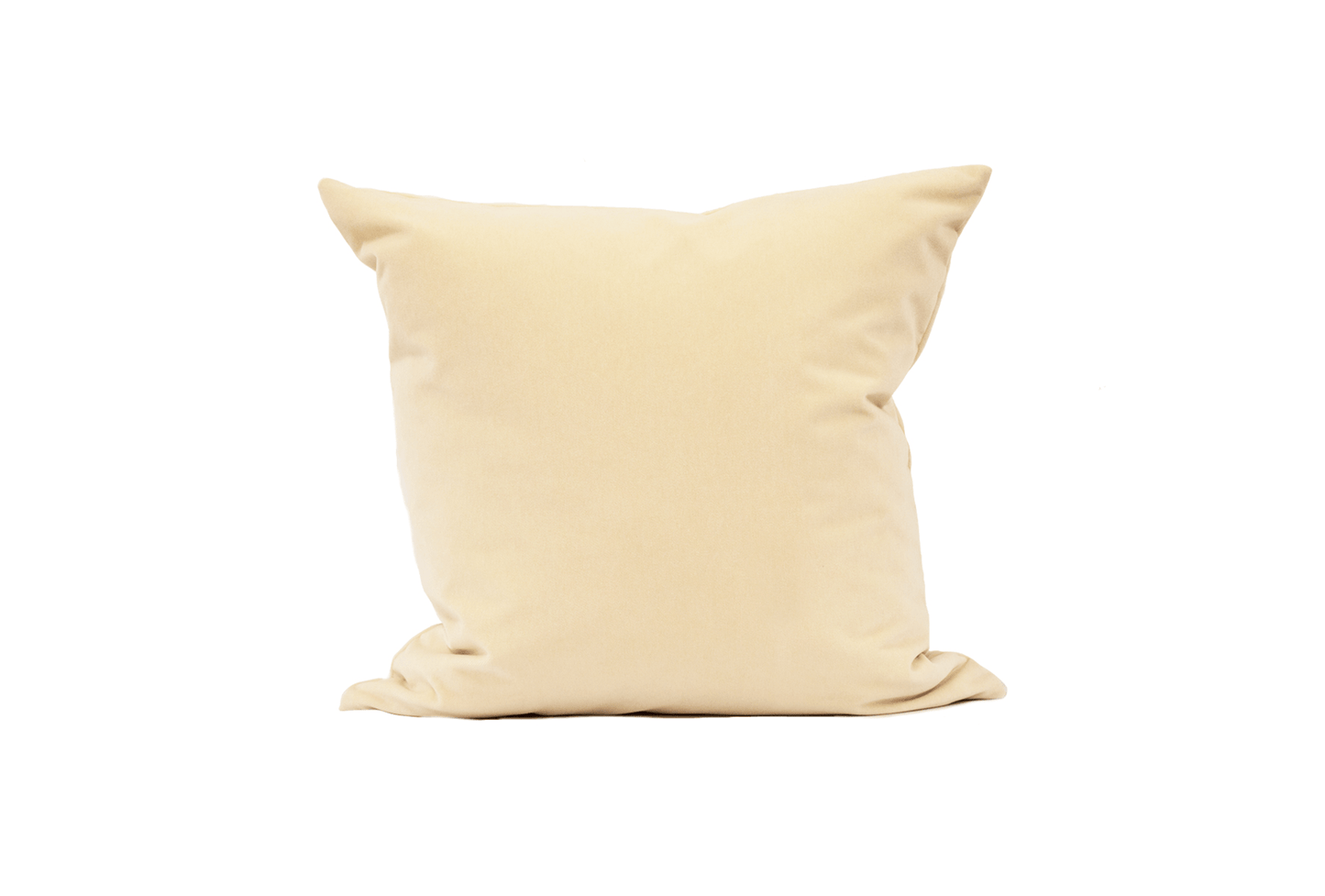 Brie Velvet Cushion Cover