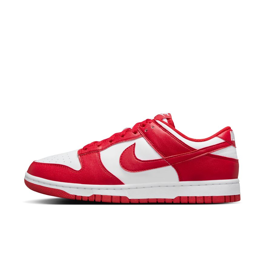 W Nike Dunk Low Next Nature DD1873-116