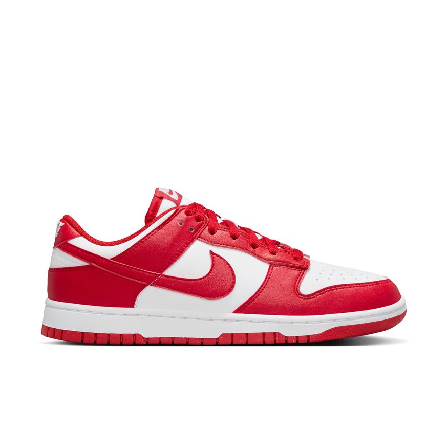 W Nike Dunk Low Next Nature DD1873-116