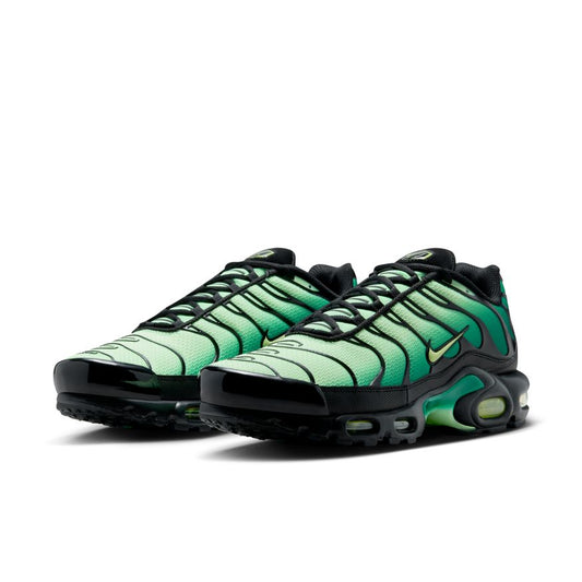 M Nike Air Max Plus DM0032-301