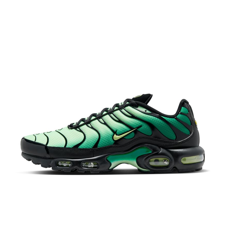 M Nike Air Max Plus DM0032-301