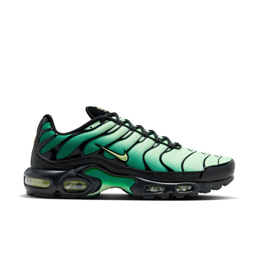M Nike Air Max Plus DM0032-301