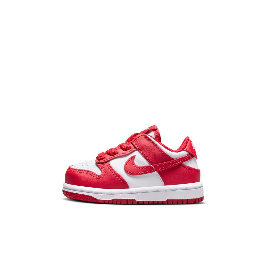 Y Nike Dunk Low FB9107-119