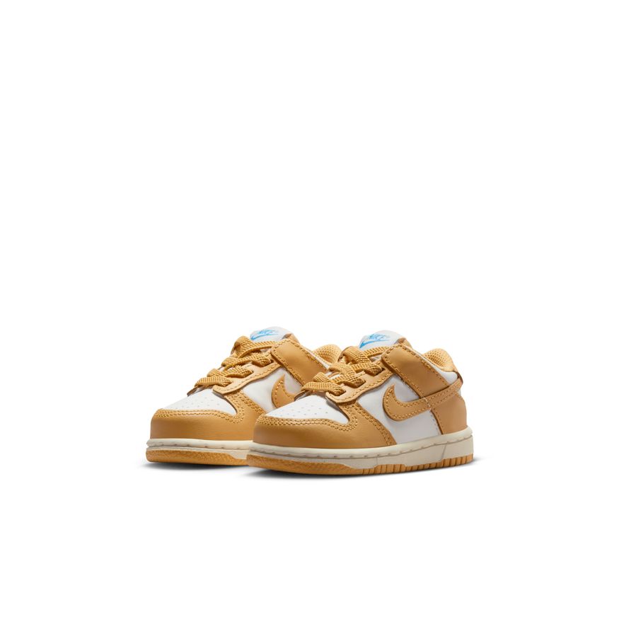 Y Nike Dunk Low FB9107-700