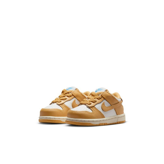 Y Nike Dunk Low FB9107-700