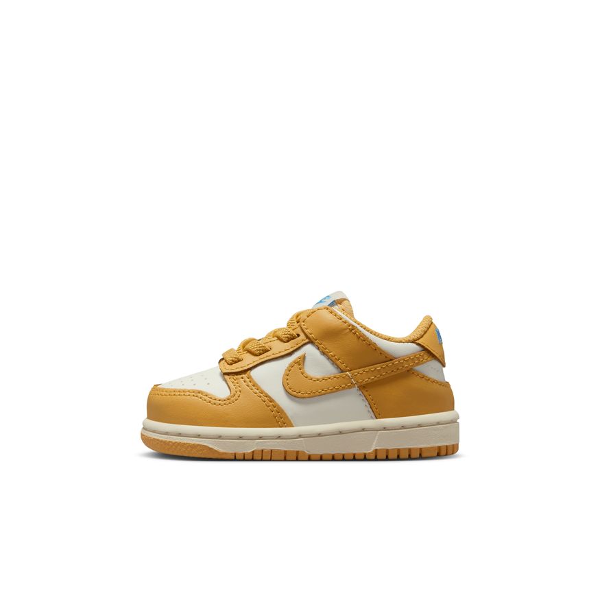 Y Nike Dunk Low FB9107-700