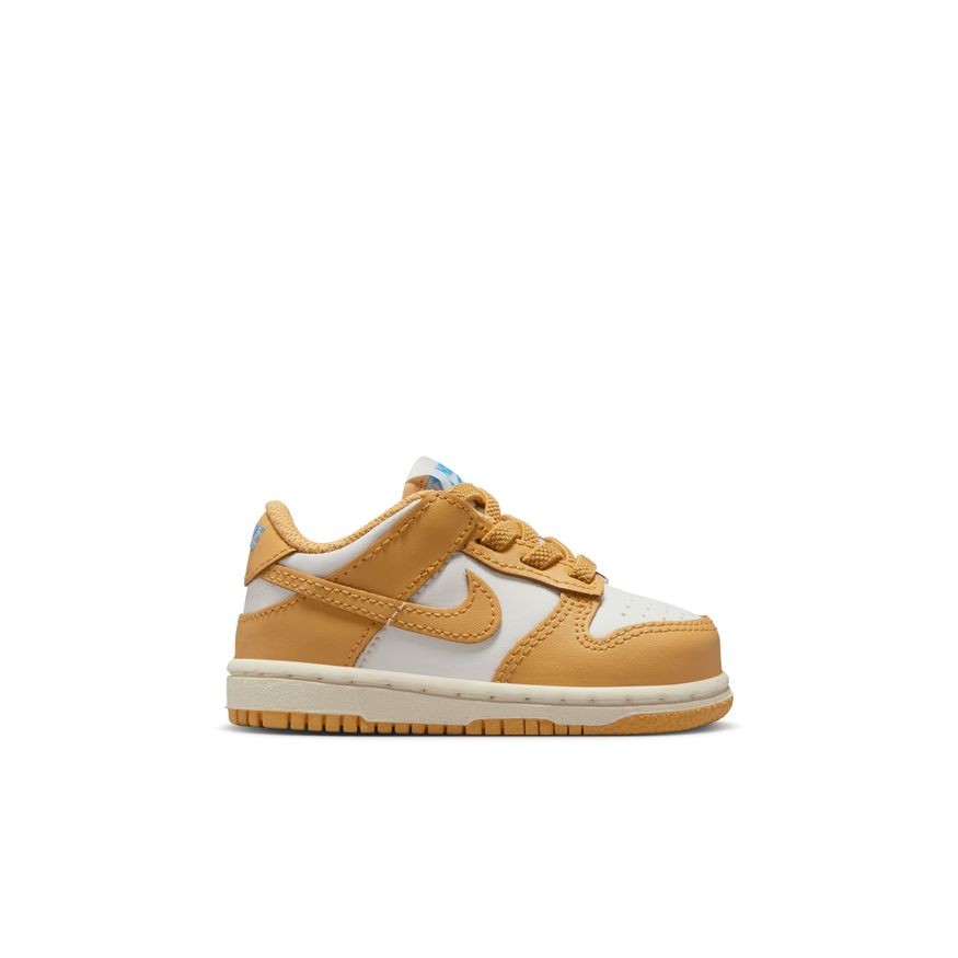 Y Nike Dunk Low FB9107-700