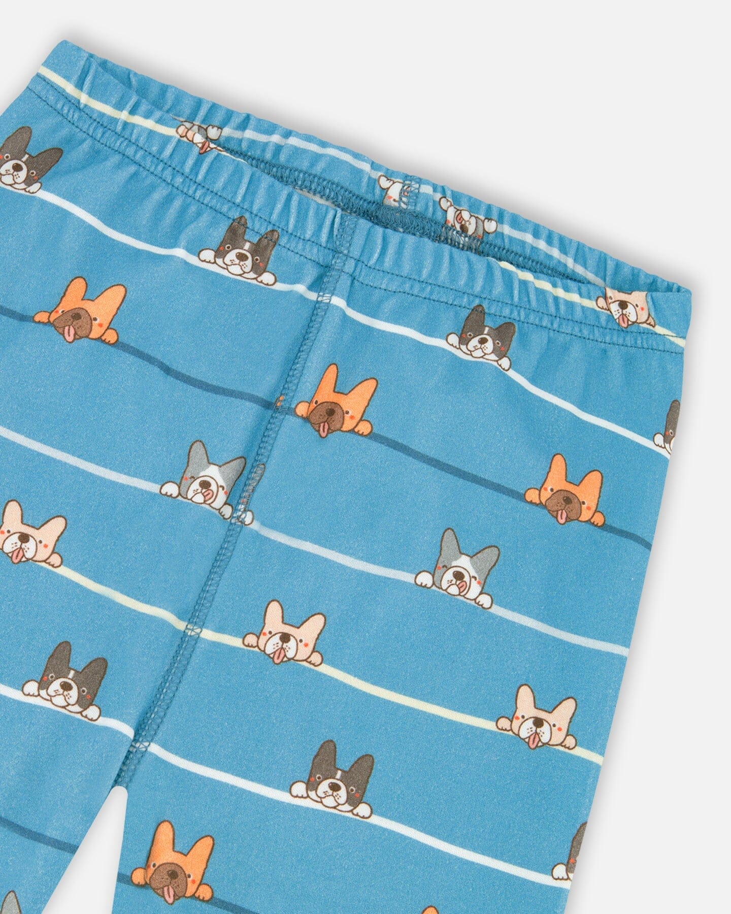 Two-Piece Organic Cotton Pajama Set Blue Dog Print