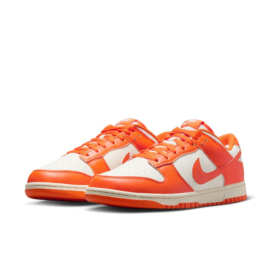 M Nike Dunk Low Retro HF5441-106
