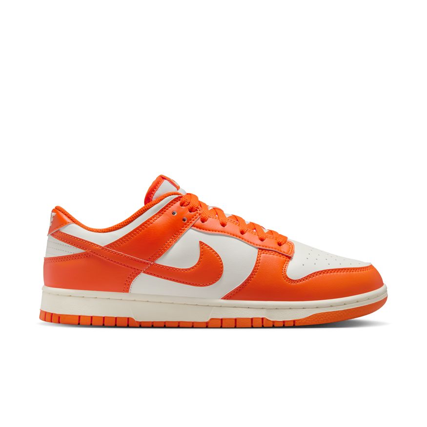 M Nike Dunk Low Retro HF5441-106
