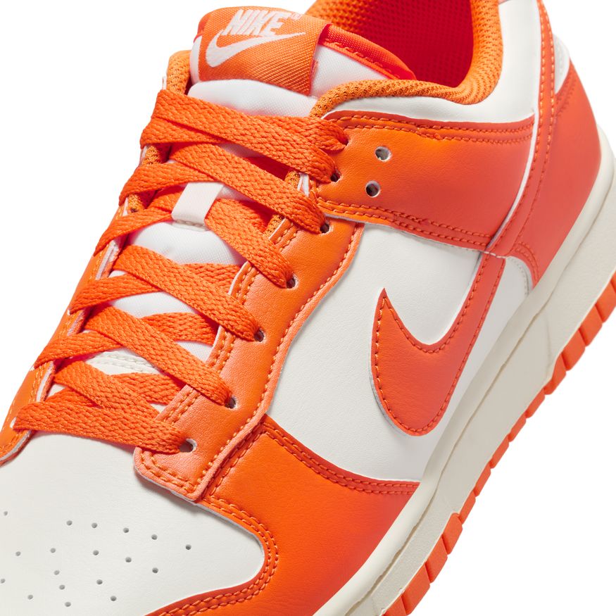 M Nike Dunk Low Retro HF5441-106