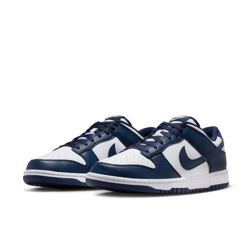 M Nike Dunk Low Retro HF5441-107