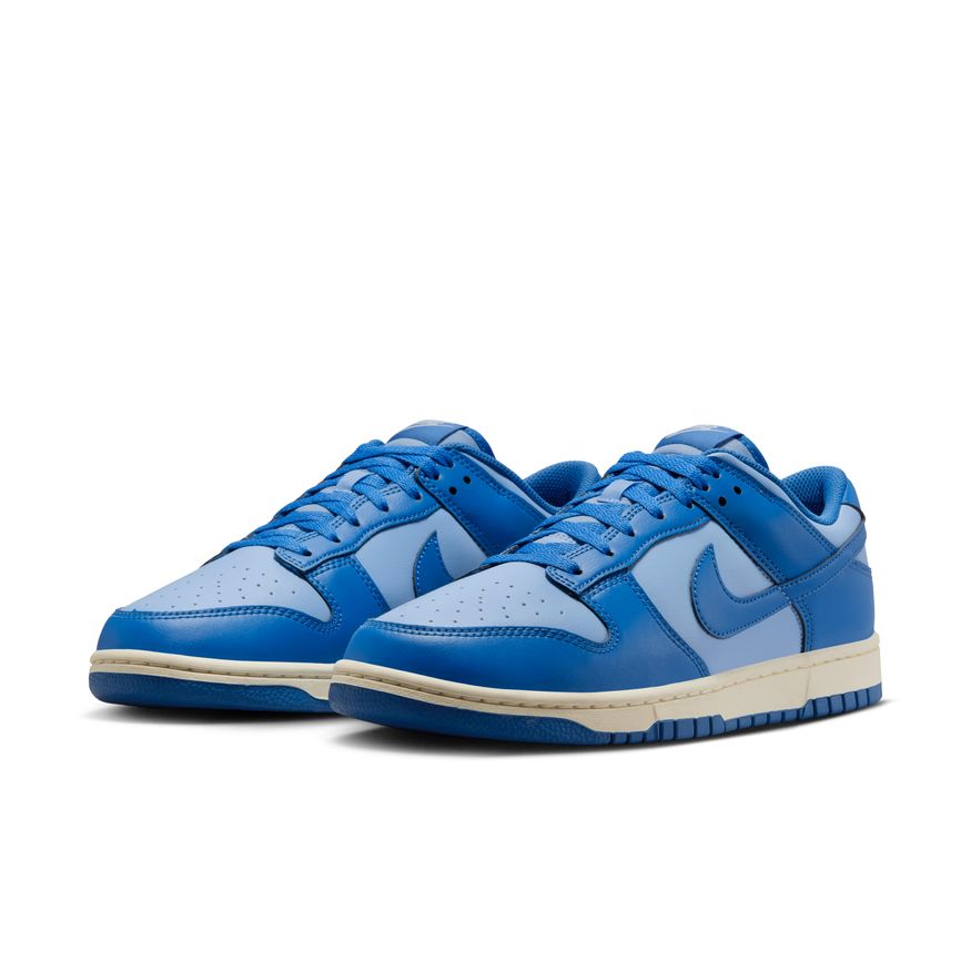 M Nike Dunk Low Retro HF5441-400