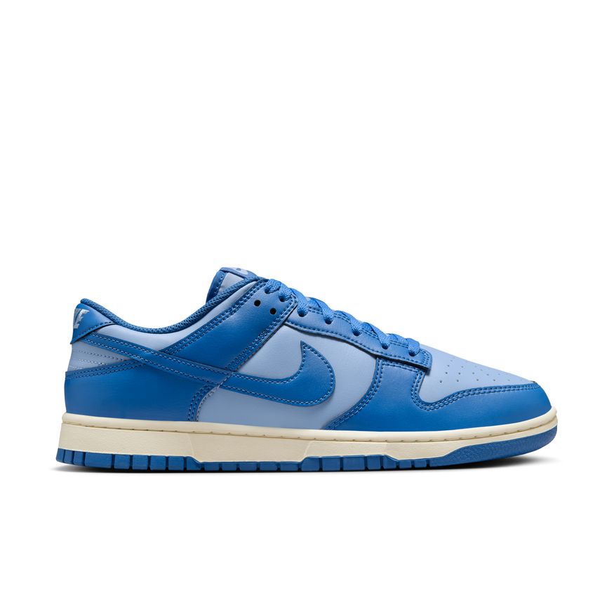 M Nike Dunk Low Retro HF5441-400