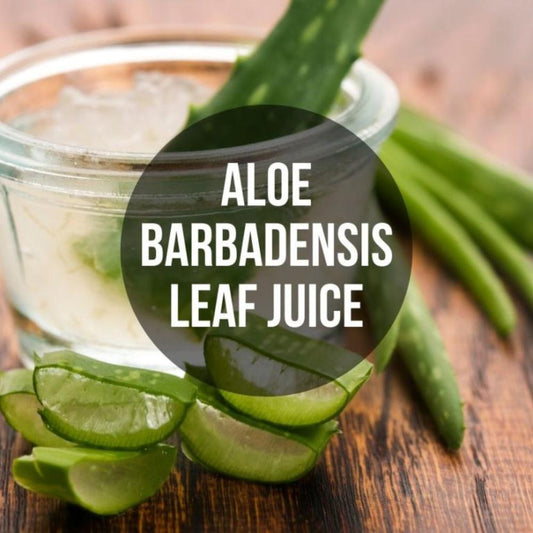 ALOE BARBADENSIS LEAF JUICE (01-2311) FG