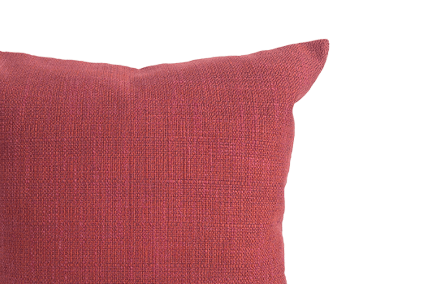 Orchid Cushion Cover