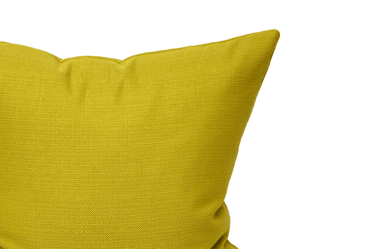 Green Apple Cushion Cover