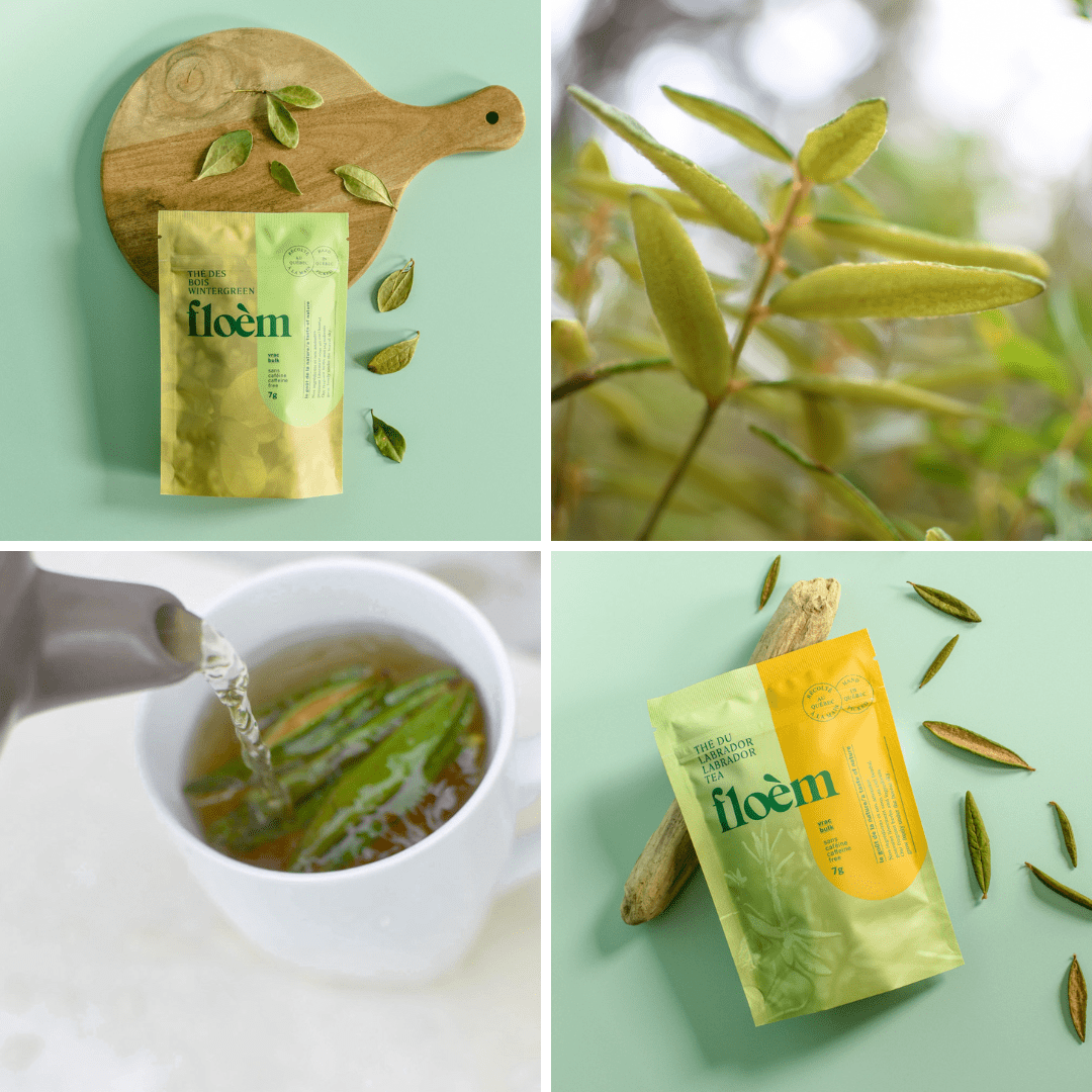 Ensemble de tisane - Ensemble complet, pack de variétés