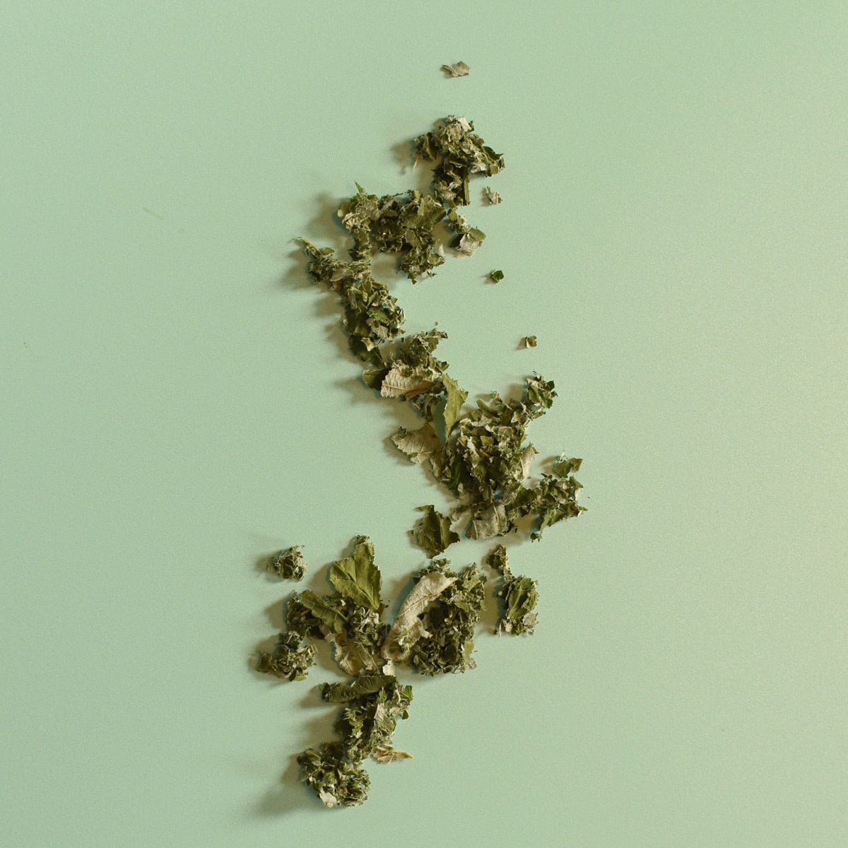 Framboisier, feuille