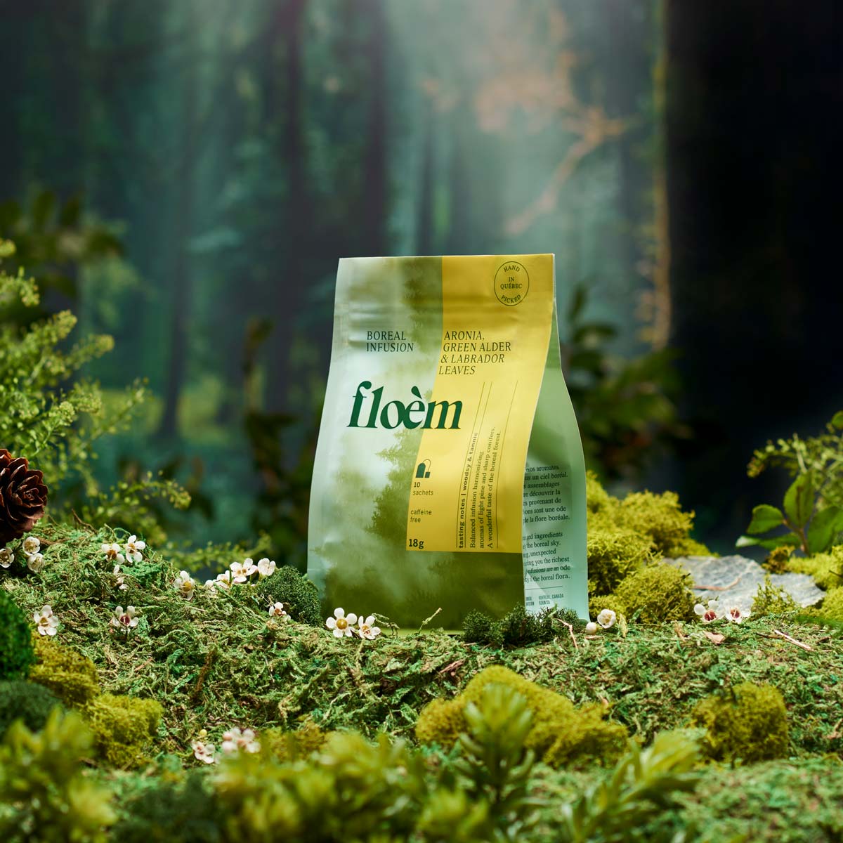 Tisane en sachets - Aronia, aulne & feuilles du Labrador