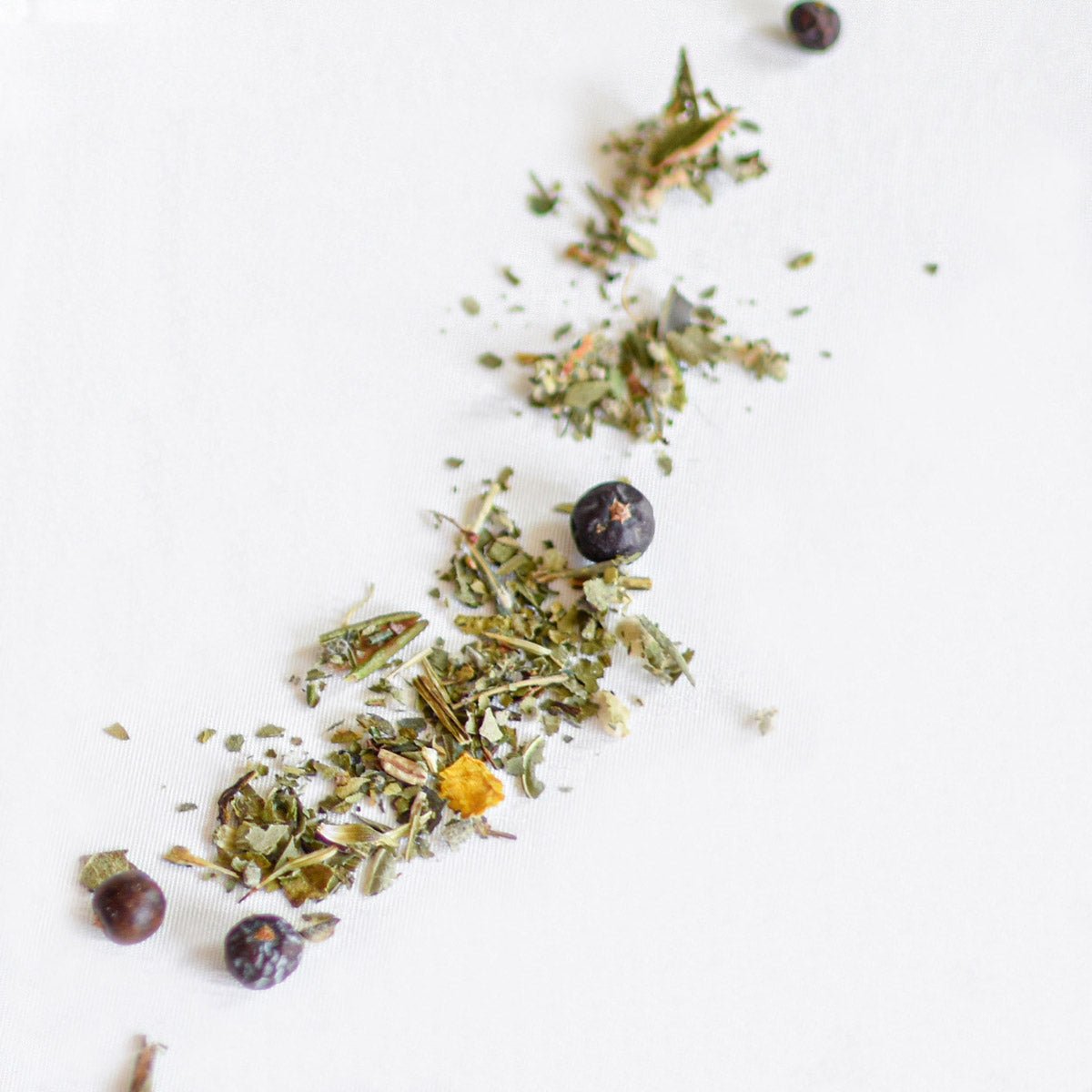 Tisane en vrac - Myrique & échinacée