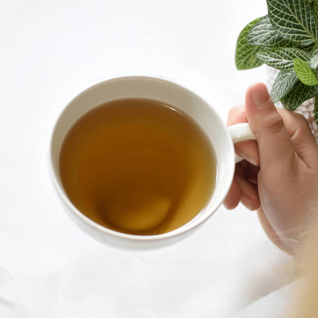 Tisane en vrac - Thuya & Lavande